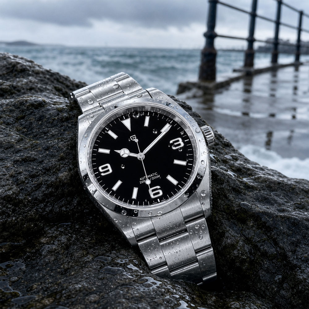 New PAGANI DESIGN Men Mechanic - Mens Mechanical Watch review and price