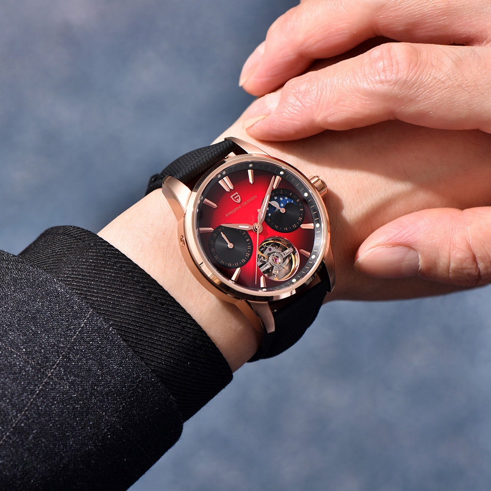 2025 New PAGANI DESIGN Watches - Mens Mechanical Watch review and price